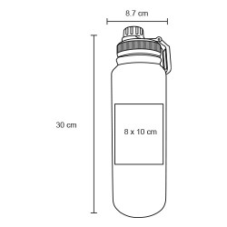 Termo Saqq - T 245
