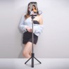 Selfie Stick Lite - SLF 005