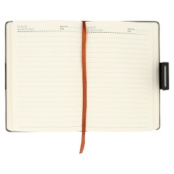 Agenda Zoom - AG 002
