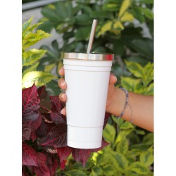 Vaso Aínsa - TE-078