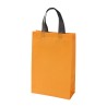 Bolsa Vazzola. - TX-187