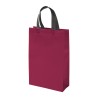 Bolsa Vazzola. - TX-187