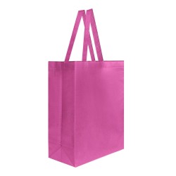 Bolsa Laredo - SIN 216