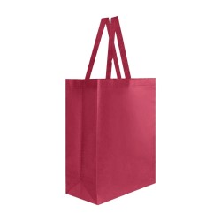 Bolsa Laredo - SIN 216