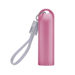 Power Bank Tafel - CRG 045