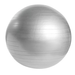 Pelota De Pilates Wellness - SPO 018