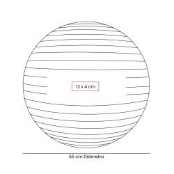 Pelota De Pilates Wellness - SPO 018