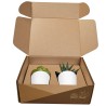 Set de Plantas Aliso - KTC 750