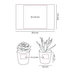 Set de Plantas Aliso - KTC 750