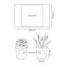 Set de Plantas Aliso - KTC 750